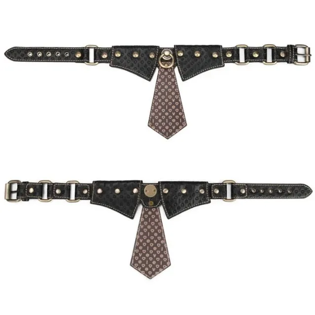 Rebellion Reign Collar and Leash by LoveToy