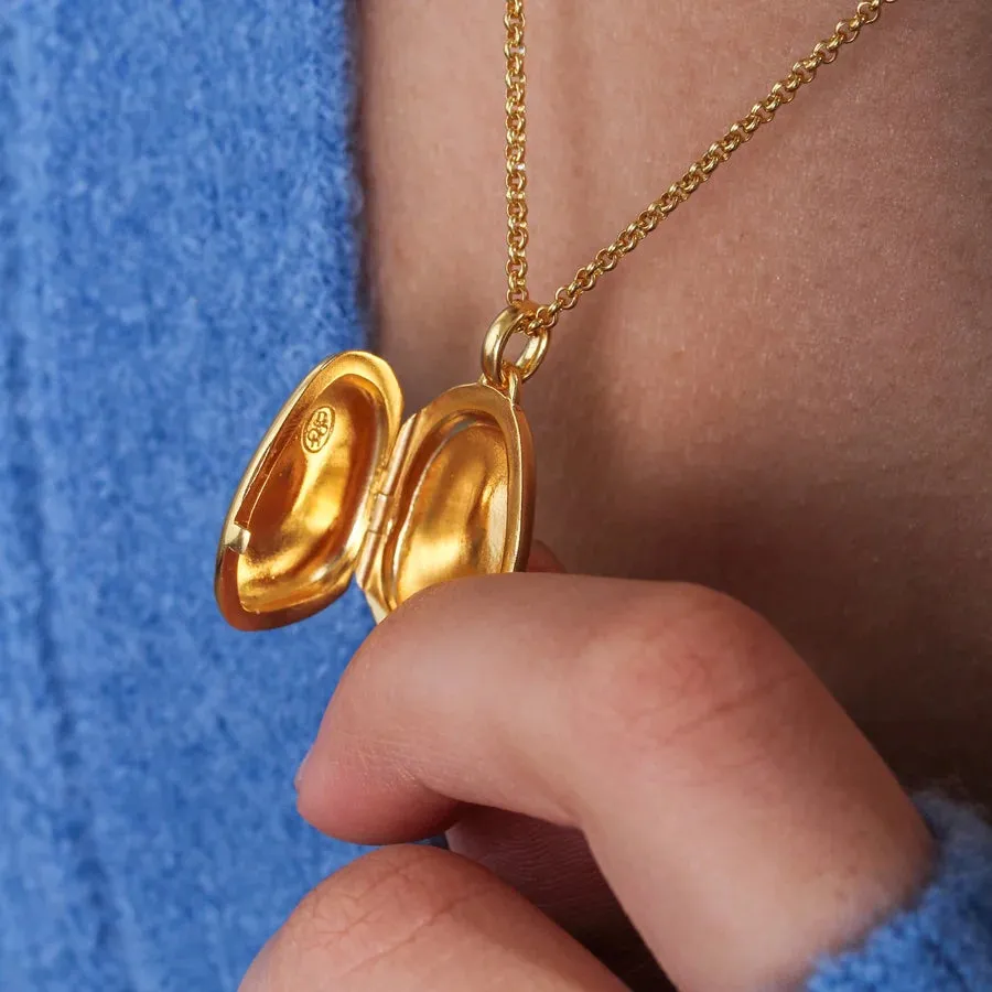 Sculptural Pebble Locket